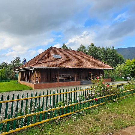 Nature Castle -Traditional Villa,Vattavada Kottakamboor Buitenkant foto